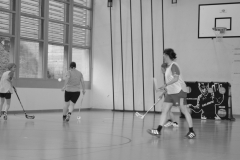 Training 2016